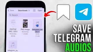 How to Save and Convert Telegram Voice Messages on iPhone