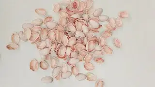 Pista Shell Craft | Pista Shell Wall Hanging #wallhanging #walldecor #flowers #video #youtubevideo