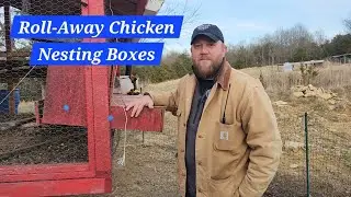 Are Roll-Away Nesting Boxes Worth It? One Year Review