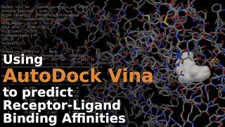 Introduction to using AutoDock Vina for determination of receptor-ligand binding affinity