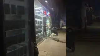 Guy tries to break into store but breaks door