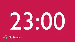 23 Minute Countdown Timer
