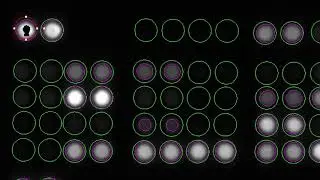 QuickSpots Spot Array Analysis Full Walkthrough