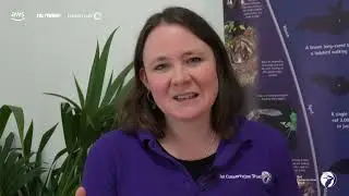Using AWS to implement an AI-powered data transformation pipeline for Bat Conservation Trust