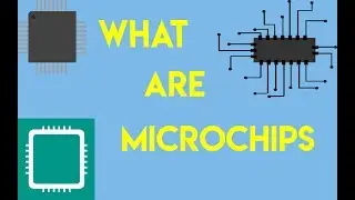 What are Microchips?
