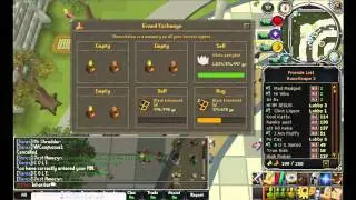 Runescape Flipping Log P2 100M+Profit White/Green Phat Flips