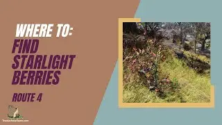 Where to find and how to farm for Starlight Berries - Route 4
