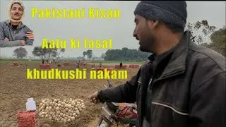full vlogs Pakistani Kisan Aalu ki fasal aur khudkushi nikaam