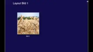 PS: 08 Aktionen: Bildprozessor vs Stapelverarbeitung