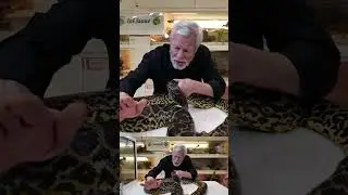 Vielle m&eacute;m&egrave;re #shorts #snake