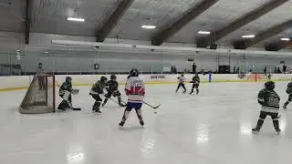 01/19/2026 — Livonia Knights Blue — D Zone