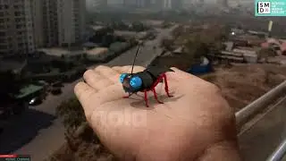 Student Work | Kunal Chavan | 3D animation course - Pune
