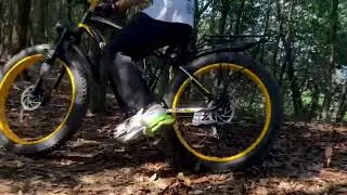 EOEOTWO E01 Electric Bike Adult 26