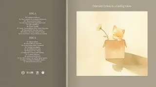 Emerald Echos in a Fading Glow Vinyl | Kat Records Presents Mossy Reflections & Silent Goodbyes
