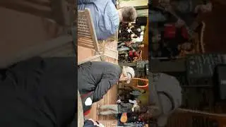 Wiesenhaus 2017
