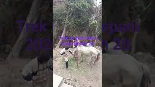 ghorepani trek Hypemountain adventures