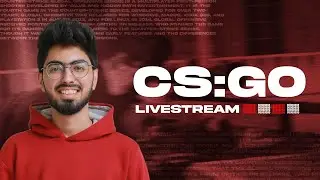 DD Toasty : CSGO Serious Rank Grind | Stay Positive💙 #believe #live