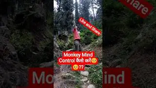 Monkey Mind Control कैसे करें? #monkeymind #control #tips #ytshorts #vloggshayaribyamol #meditation
