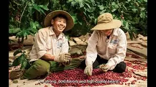 Cộng C&agrave; Ph&ecirc;: Introducing Authentic Vietnamese Coffee Culture to Japan