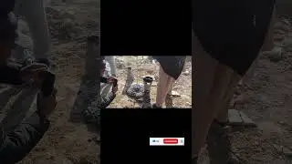 Concrete Slump Test | Raft Foundation Work | High-Rise Building #Shorts