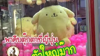 คีบตุ๊กตาที่ญี่ปุ่นลุ้นมากEp.6 เทคนิคการคีบตู้สามขา UFOｷｬｯﾁｬｰ　”ﾎﾟﾑﾎﾟﾑﾌﾟﾘﾝ”