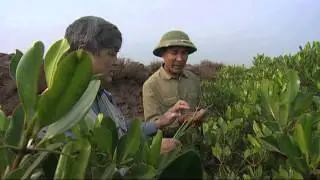 Disaster Risk Reduction in Asia Pacific