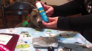 December Ipsy Unboxing by Larkle Dog