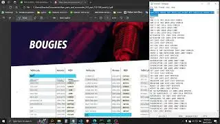 Extract data from pdf to excel by Python