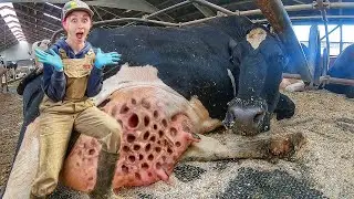 Shocking Hoofs Cutting That Will Amaze You | How To Take Care For Cows
