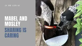 Sharing is caring!