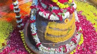 Harishchandreshwar  Temple 🛕  रुद्राभिषेक माघ शुक्ल प्रदोष विशेष ll Rudrabhishek  pradosh special