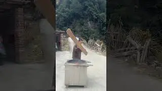 Non-Stop Family Fun 🎉😂  Your Daily Dose of Laugh-Out-Loud Comedy 🤣