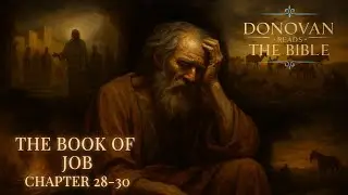 📖 Job 28&ndash;30 (KJV) | Donovan Reads The Bible | King James Version Scripture Reading