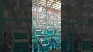 The Future of Corn Processing: Exploring a 24TPD Milling Facility