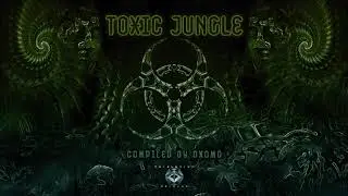 VA Toxic Jungle // 11 - Elunami - Non Linear Transitions (200-266.6BPM) by Metacortex Records