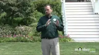 Garden Water Conservation -- Reducing Lawn Maintenance