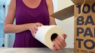Save Trees Bamboo Paper Towels - what we think of these