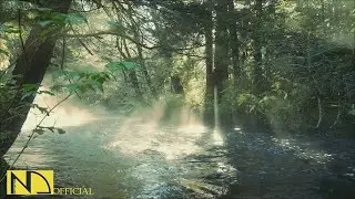 Слушайте в течение 10 ЧАСА &mdash; 99% антистресс 🌿 Расслабляющая музыка для исцеления разума и избавлен..