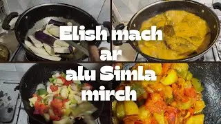 Elish mach begun alu diye jhol ar simla mirch bhaja bhalo lagle like comment share jarur kro ❤️☺️