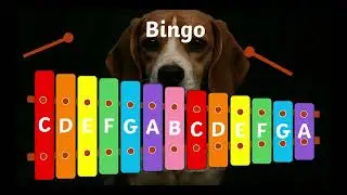 Bingo Song &ndash; Xylophone Play-Along (Verse 1 & Chorus) 🎶