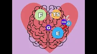 How HeartSync works