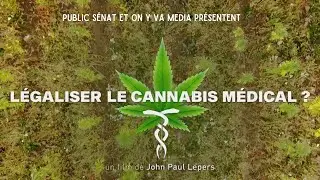 [DOC] L&eacute;galiser le Cannabis M&eacute;dical ?