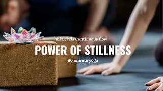 60 minutes all levels yoga | the power of stillness