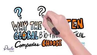 Whiteboard Animation - Trial Bee - Pixle Digital