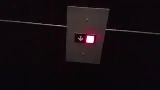 Otis Traction Elevators @ Albion Hotel in Miami Beach, FL
