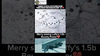 The Saddest One Piece Detail You Missed 😭 #anime #onepiece #memes