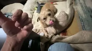 Le vomito encima .. esto no es nada f&aacute;cil