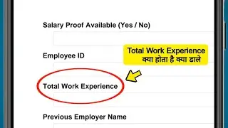 Total Work Experience kya hota hai | Total Work Experience ka matlab