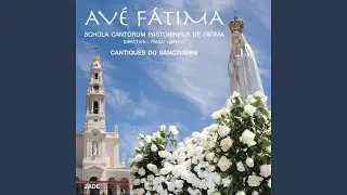 Avé de Fátima - Orgão