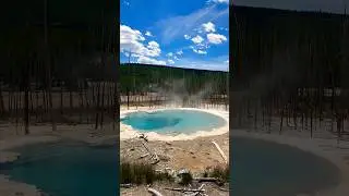 Nature ! Yellow Stone National Park #montana #wyoming #viral #geyser #hotspring  #volcano #natgeo